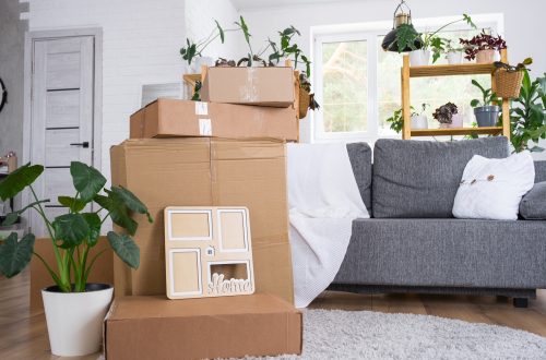 Boxes with things for moving and house plants are in the room of the new house. Housewarming, family property, cargo transportation and delivery of things
